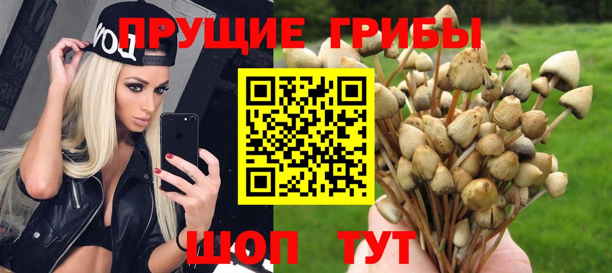 Галлюциногенные грибы мицелий Азов